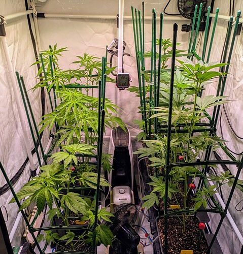 Growreport Bild 7