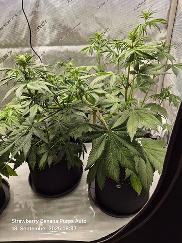 Growreport Bild 30