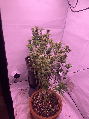Growreport Bild 12