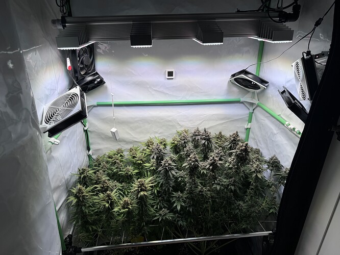 Growreport Bild 28