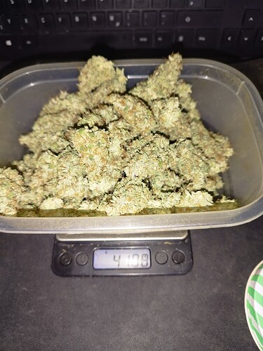 Growreport Bild 4
