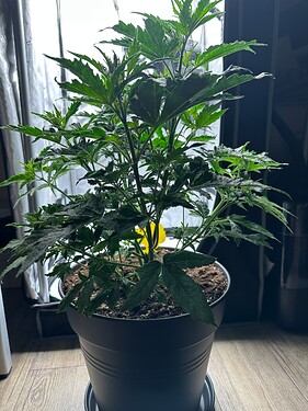 Growreport Bild 23