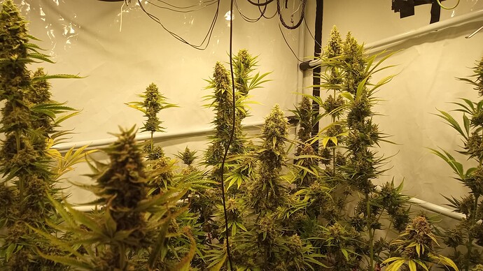 Growreport Bild 8