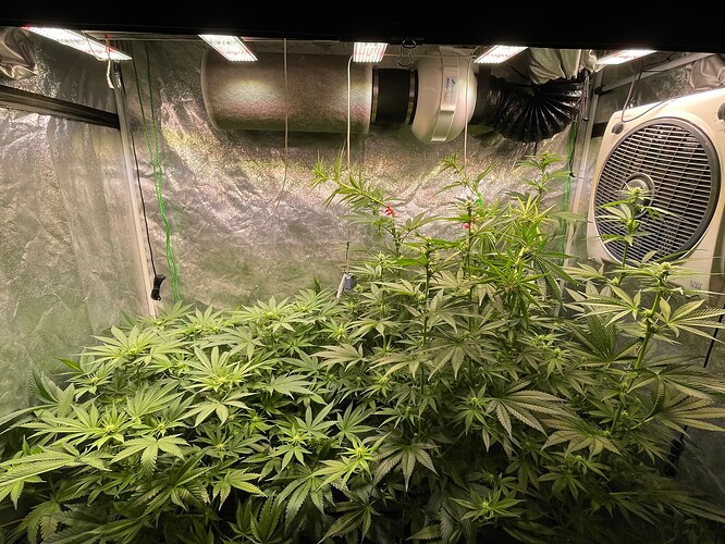 Growreport Bild 7