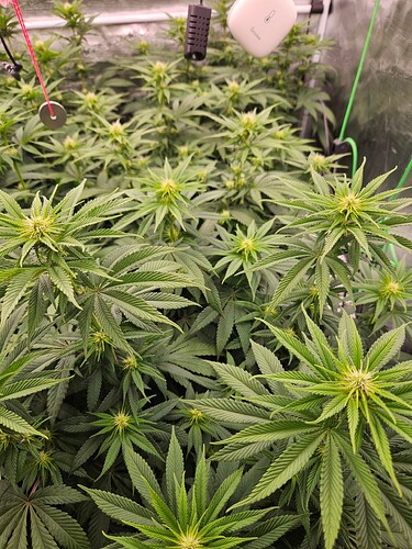 Growreport Bild 24