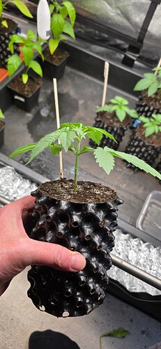 Growreport Bild 15