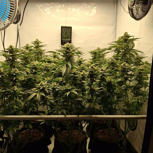 476169015_122166880574293599_506925986823880085_n