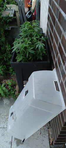 IMG_20260529_210230