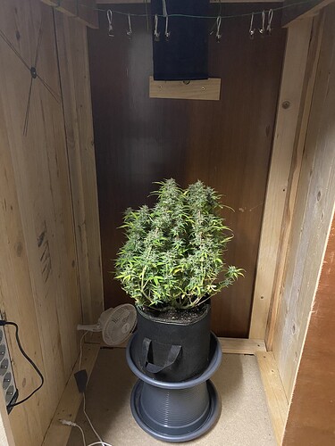 Growreport Bild 33