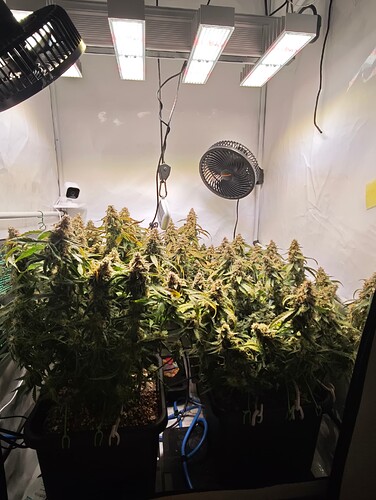 MVIMG_20251125_180359