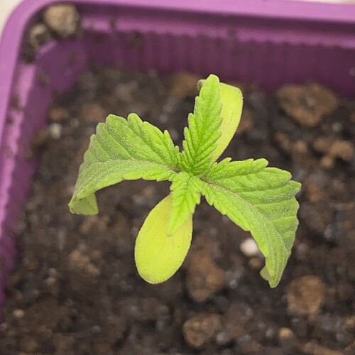 Growreport Bild 24
