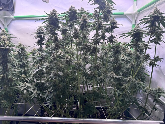 Growreport Bild 14