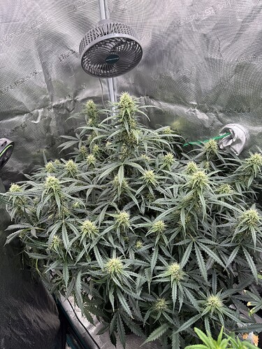 Growreport Bild 18