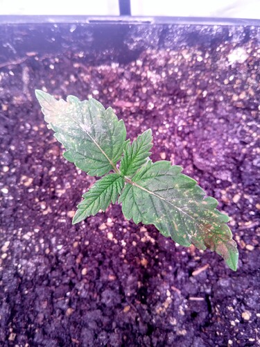 IMG_20240416_093857_555