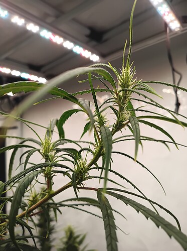 Growreport Bild 24