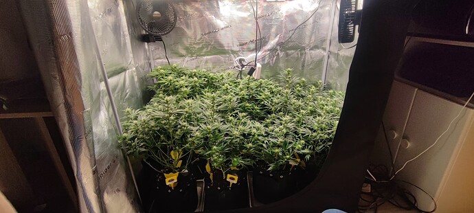 Growreport Bild 10