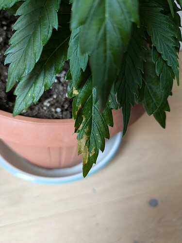 Growreport Bild 7
