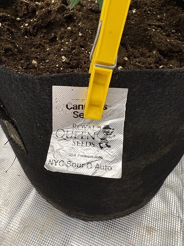 Growreport Bild 7