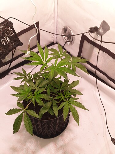 Growreport Bild 4