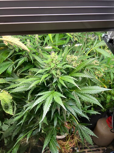Growreport Bild 10