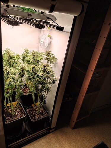 Growreport Bild 32