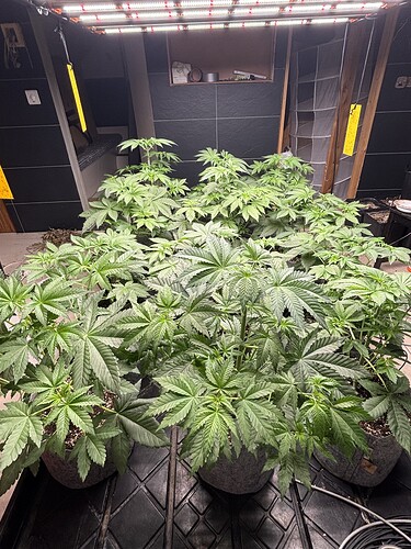 Growreport Bild 20