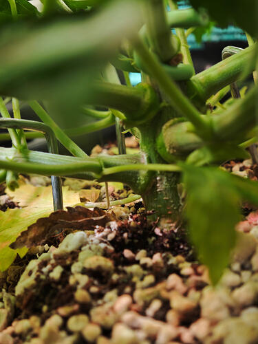Growreport Bild 22
