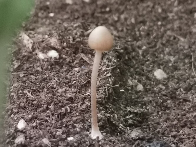 Growreport Bild 7