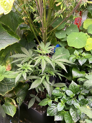 Growreport Bild 16