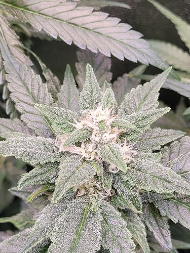 Growreport Bild 10