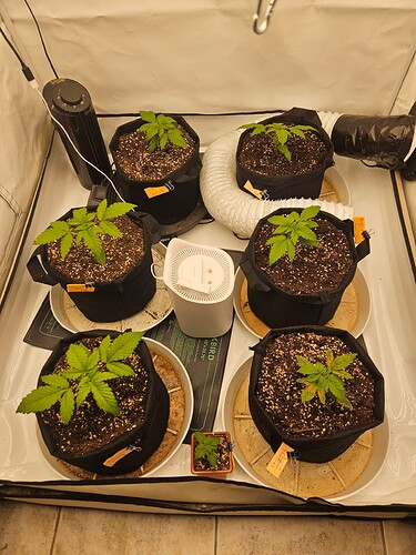 Growreport Bild 18