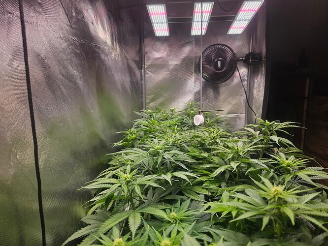 Growreport Bild 20