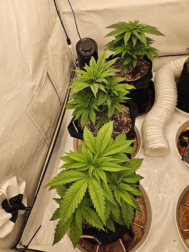 Growreport Bild 2