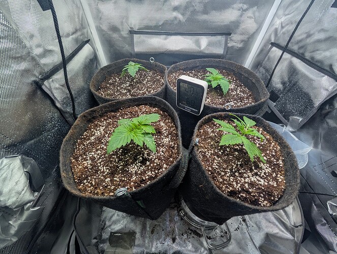 Growreport Bild 2