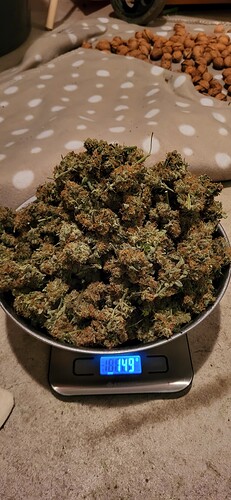 1000117216