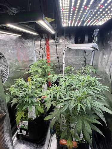 Growreport Bild 1