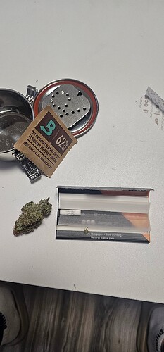 Growreport Bild 5