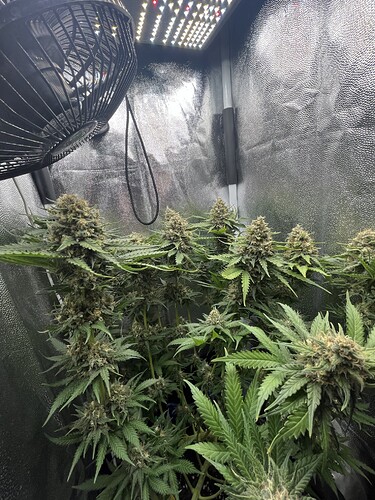 Growreport Bild 3