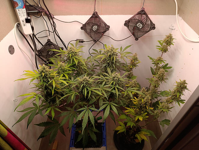 Growreport Bild 5