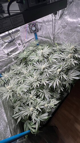 Growreport Bild 1