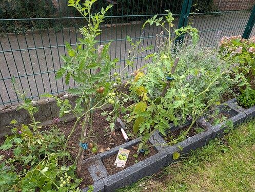 Growreport Bild 26