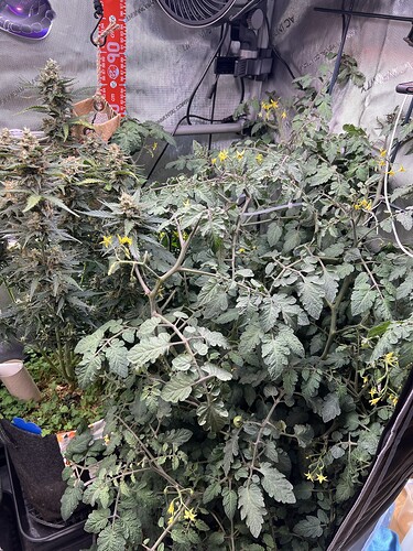 Growreport Bild 6