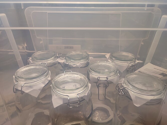 Growreport Bild 61