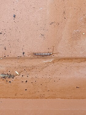 Growreport Bild 5