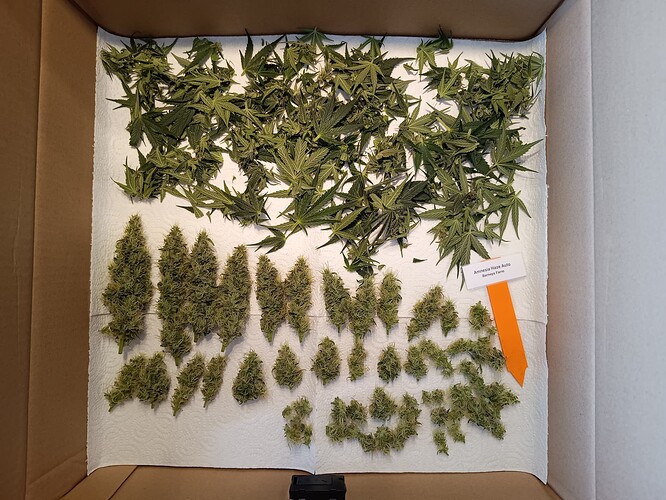 Growreport Bild 13