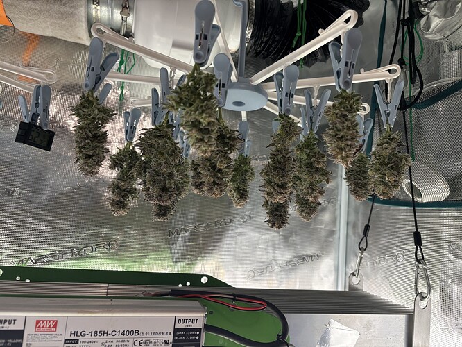 Growreport Bild 4