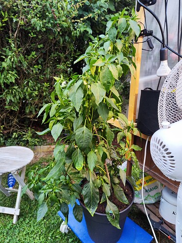 Growreport Bild 30