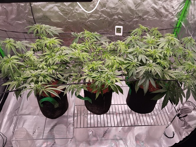 Growreport Bild 2