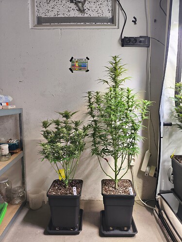 Growreport Bild 6