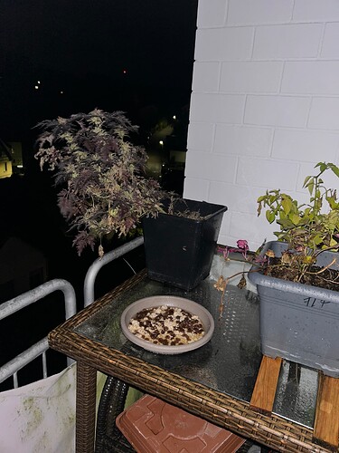 Growreport Bild 10